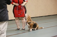 Enlarge photo 129