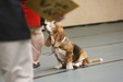 Enlarge photo 127
