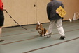 Enlarge photo 124