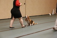 Enlarge photo 122