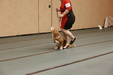 Enlarge photo 120
