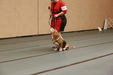 Enlarge photo 119