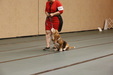 Enlarge photo 117