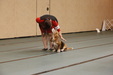 Enlarge photo 116