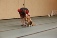 Enlarge photo 115