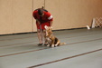 Enlarge photo 113