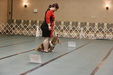 Enlarge photo 112