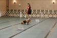 Enlarge photo 107