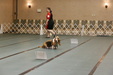 Enlarge photo 108