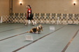 Enlarge photo 106