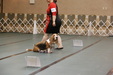 Enlarge photo 102