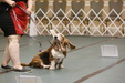 Enlarge photo 97