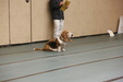 Enlarge photo 96