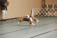 Enlarge photo 93