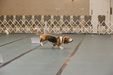 Enlarge photo 92