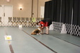 Enlarge photo 79