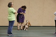 Enlarge photo 59