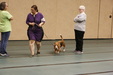 Enlarge photo 58