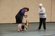 Enlarge photo 48