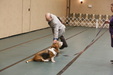 Enlarge photo 43