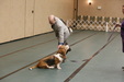 Enlarge photo 44