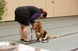 Obedience