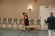 Enlarge photo 62
