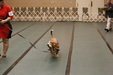 Enlarge photo 59