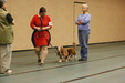 Enlarge photo 54