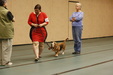 Enlarge photo 53