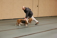 Enlarge photo 40