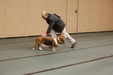 Enlarge photo 39