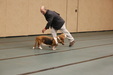 Enlarge photo 38