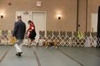 Enlarge photo 37