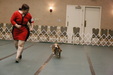 Enlarge photo 32
