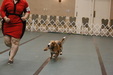 Enlarge photo 30