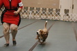 Enlarge photo 28