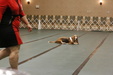 Enlarge photo 10