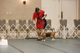 Enlarge photo 176