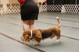 Enlarge photo 155