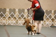 Enlarge photo 154