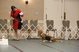 Enlarge photo 84
