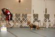 Enlarge photo 83