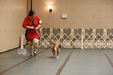 Enlarge photo 82