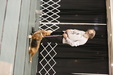 Enlarge photo 55
