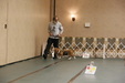 Enlarge photo 46