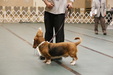 Enlarge photo 26