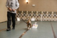 Enlarge photo 5