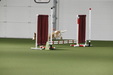 Enlarge photo 155