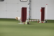 Enlarge photo 154